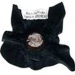Larsen Violin Rosin