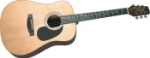 Jasmine Semi Gloss-Dreadnought