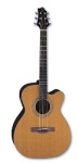Remington Series 13 A/E Guitar