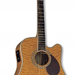 Elan Series 11 A/E Guitar
