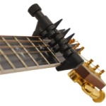 Spider Capo
