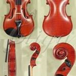 Gliga GV400 4/4 Violin