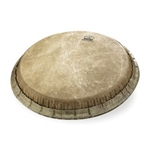 Bongo Head, Fiberskyn II, 6-15/16