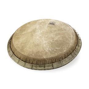 Conga Head, Fiberskyn 3, 10