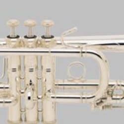 Bach D180 D Trumpet