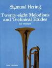 28 Melodious & Technical Etudes