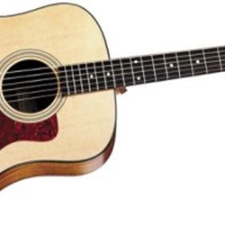 Taylor 110 Acoustic Guitar