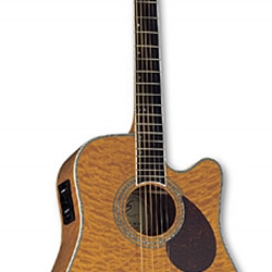 Elan Series 11 A/E Guitar