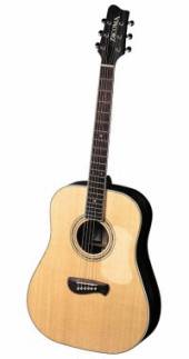 Tacoma Accoustic Dreadnought