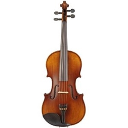 5KF violin outfit w/Perfection pegs