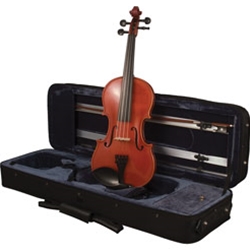 David 4/4 Violin Outfit