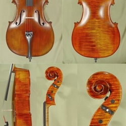Gliga Cello 021304