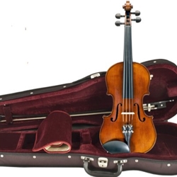 Dorning 4/4 Violin