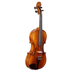 Bucharest Deluxe Violin Outfit