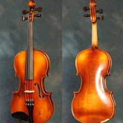 Gliga 15 1/2 Signature Model