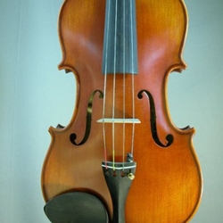 Vasile Gliga 16