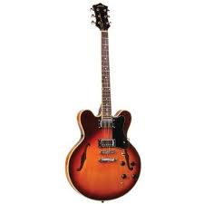 AJ135 Semi Hollow Body Jazz/Rock Electric Guitar