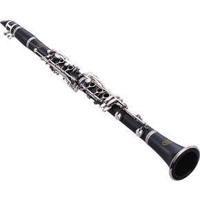 Jupiter 931S Intermediate Clarinet Outfit w/ Silver-Plated Keys