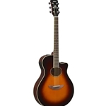 Acoustic-Electric Guitars