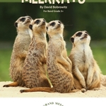 Meerkats - Band Arrangement