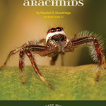 March of the Arachnids - Band Arrangement