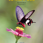 La Mariposa for Band - Band Arrangement