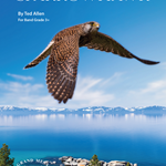 Sparrow Hawk - Band Arrangement