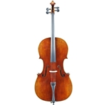 Eastman Rudoulf Doetsch Professional Cello Outfit