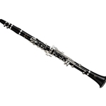 Yamaha Ycl-650 Professional Clarinet