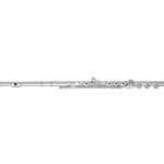 Eastman Wm. S. Haynes Amadeus Af680-Bo Flute