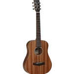 Tanglewood Winterleaf Acoustic Guitar Tw2t