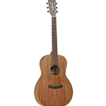 Tanglewood Winterleaf Acoustic Guitar - Natural Satin/Rosewood - Tw3