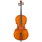 Eastman VC200 Cello Outfit