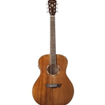 Washburn Woodline 10 Series Acoustic/Electric Guitar