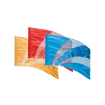 DSI Spectrum Flags