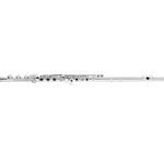 Azumi Intermediate Flute w/Offset G, Split E, & Sterling Silver Headjoint