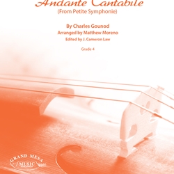 Andante Cantabile from Petite Symphony - String Orchestra Arrangement