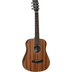 Tanglewood Winterleaf Acoustic Guitar Tw2t