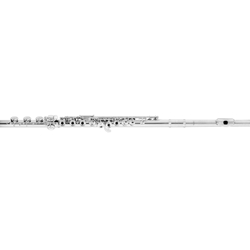 Azumi Professional Flute w/Offset G & Sterling Silver Headjoint/Body