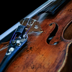 Allegro Violin Rental Renewal ONLY