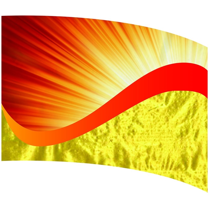 DSI Hybrid Flags